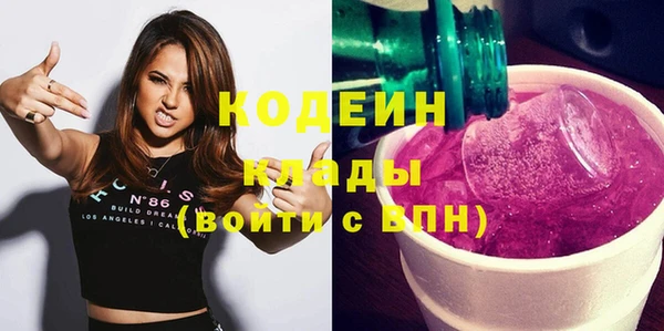 шишки Ладушкин
