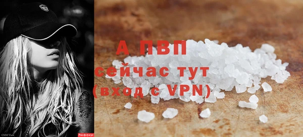шишки Ладушкин