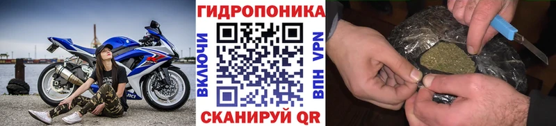 Бошки Шишки OG Kush Ковдор